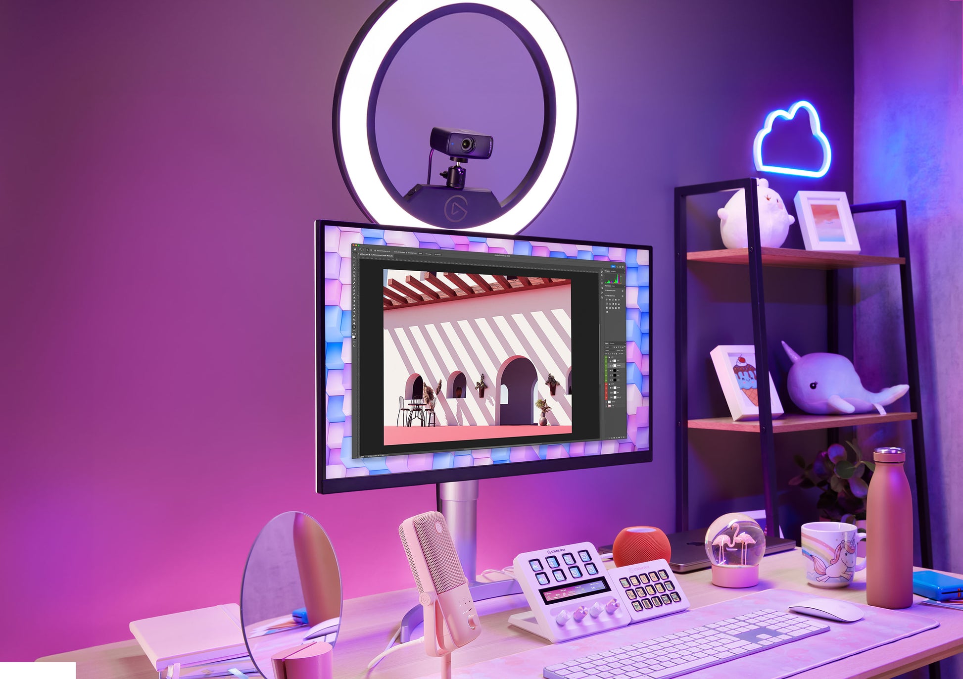 Facecam