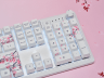 K70 CORE SE RGB Mechanical Gaming Keyboard – Cherry Blossom