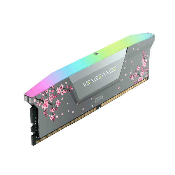 VENGEANCE® RGB 32GB (2x16GB) DDR5 DRAM Up To 6000MT/s CL36 AMD EXPO & Intel XMP Memory Kit - Cherry Blossom Gray