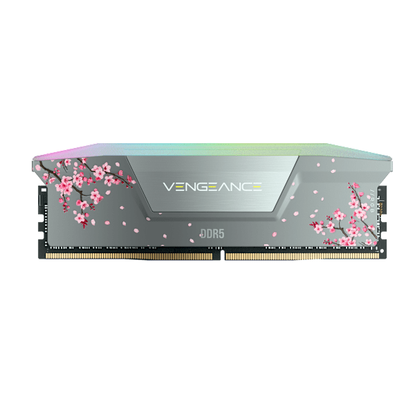 VENGEANCE® RGB 32GB (2x16GB) DDR5 DRAM Up To 6000MT/s CL36 AMD EXPO & Intel XMP Memory Kit - Cherry Blossom Gray