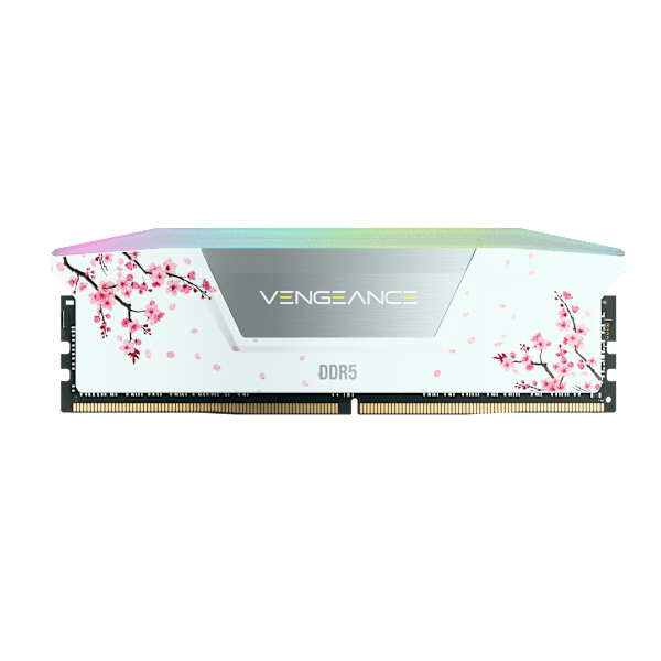 VENGEANCE® RGB 32GB (2 x 16GB) DDR5 DRAM Up To 6000MT/s CL38 AMD EXPO & Intel XMP Memory Kit Cherry Blossom White