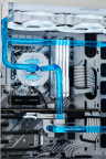 Hydro X Series XC7 RGB CPU Water Block (115X/AM4) - White